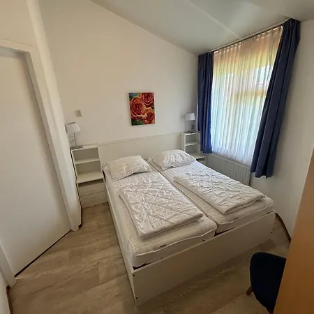 Zeester 61