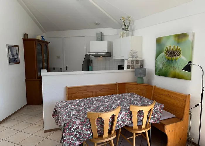 度假居 Zeester 61